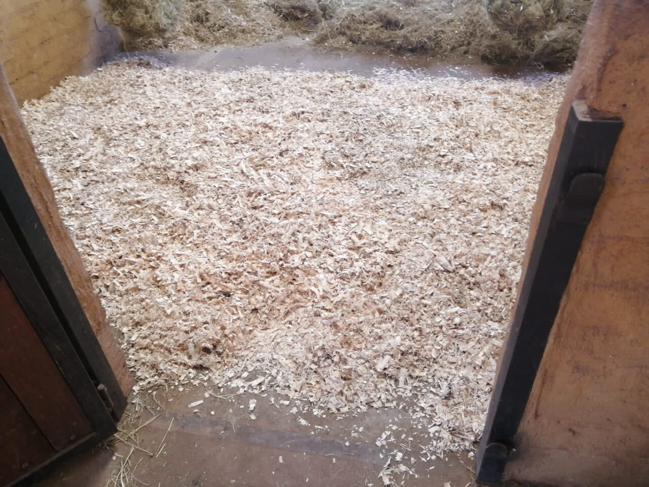 Gemini Shavings | Pine Wood Shavings | Our Products